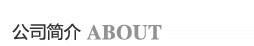 公司简介